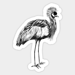 Crowned Crane Bird Sticker
